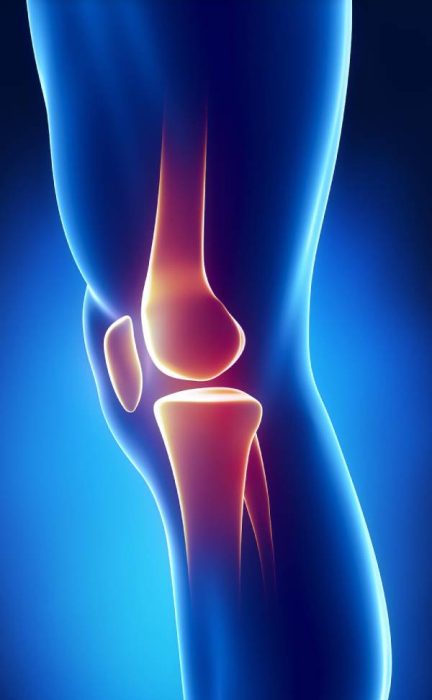 knee pain location